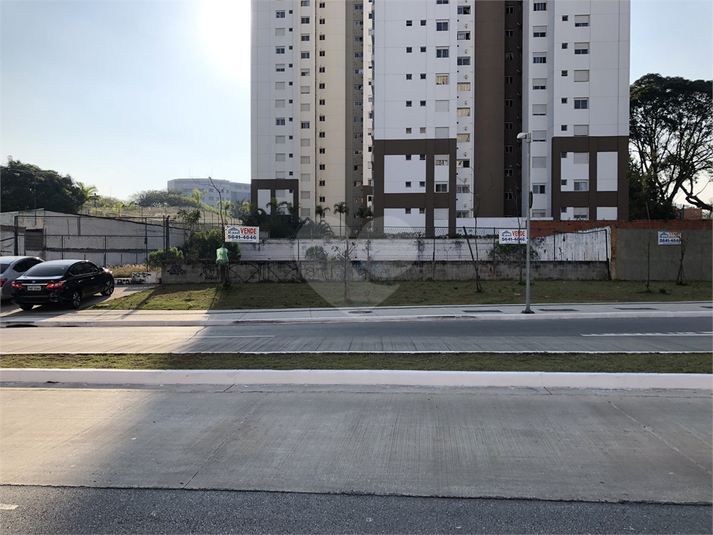 Foto REO263078