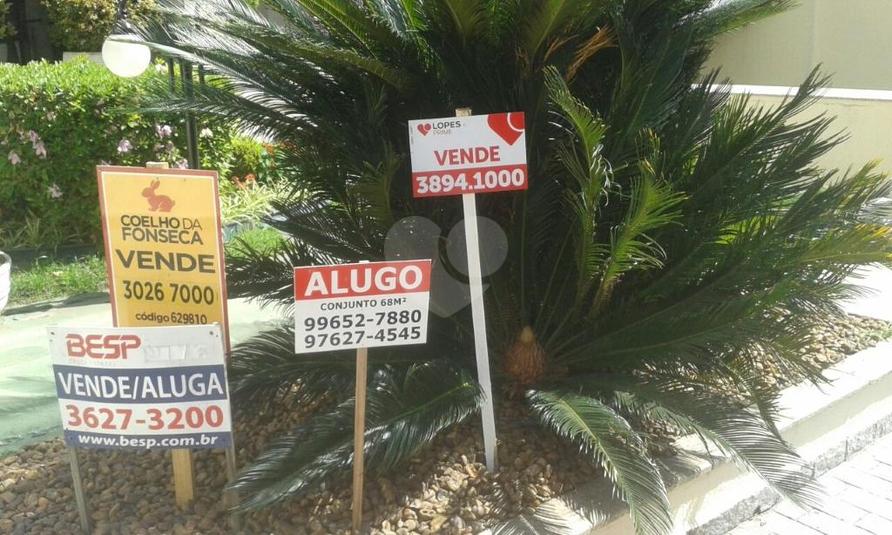Foto REO263129