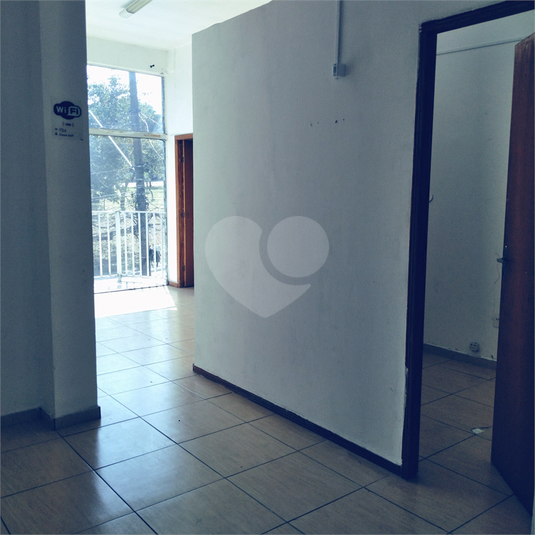 Foto REO263468