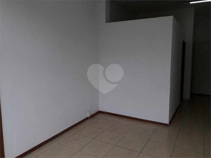 Foto REO263468