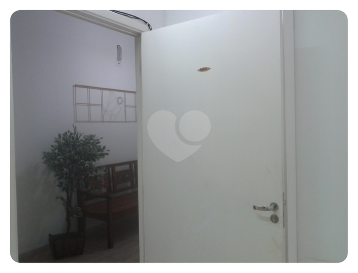 Foto REO263468