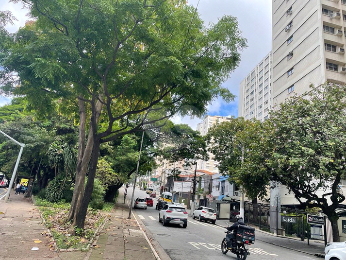Foto REO263674