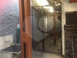 Foto REO264287