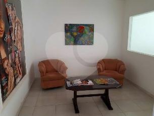 Foto REO264287