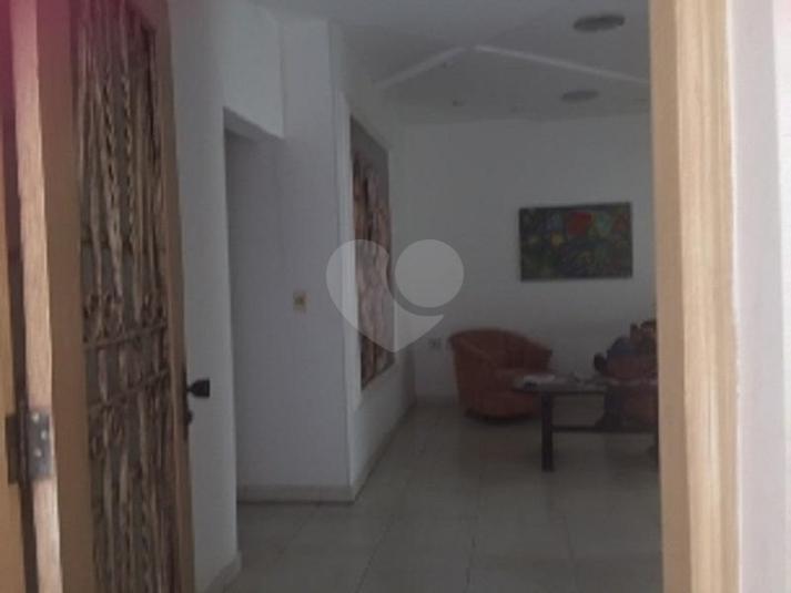 Foto REO264287