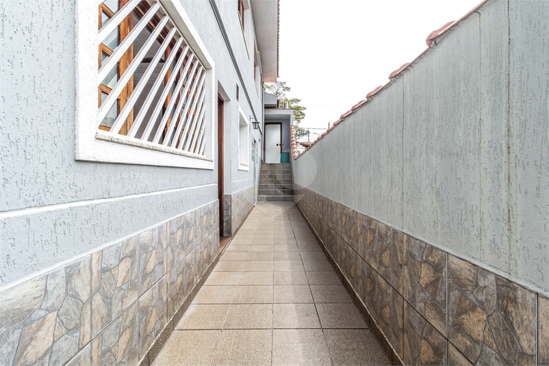 Foto REO264966