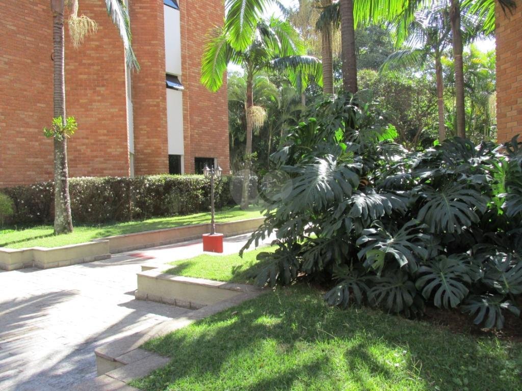 Foto REO265031