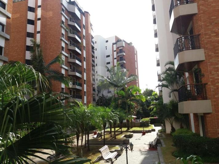Foto REO265031