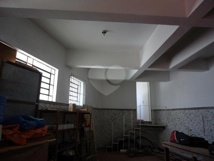 Foto REO265092