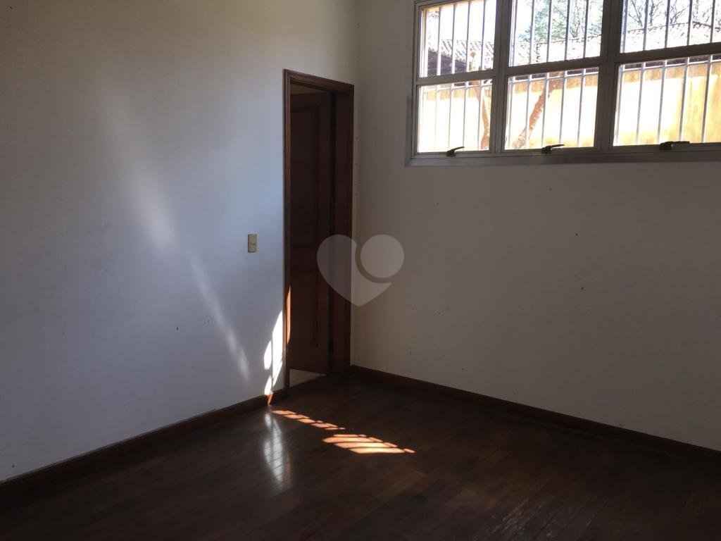 Foto REO265306