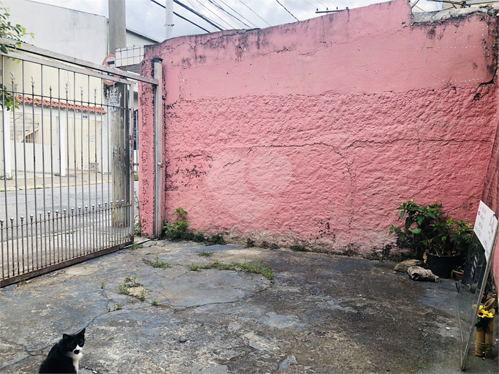 Foto REO265433