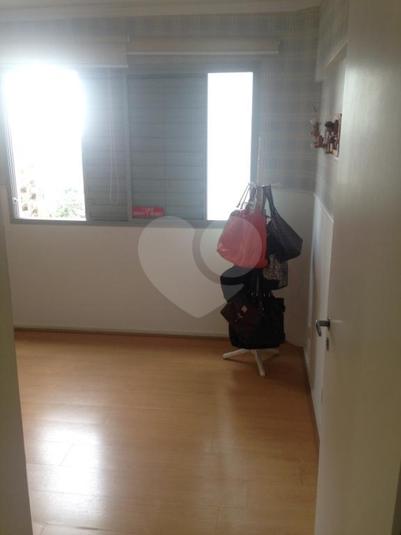 Foto REO265733