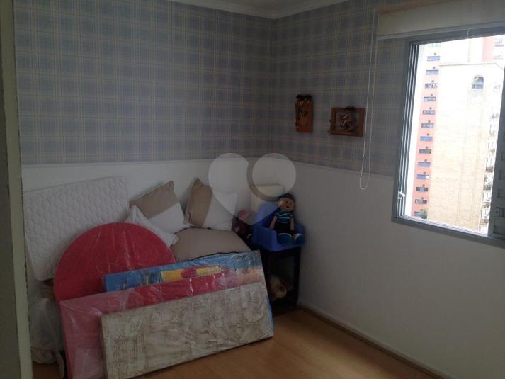 Foto REO265733