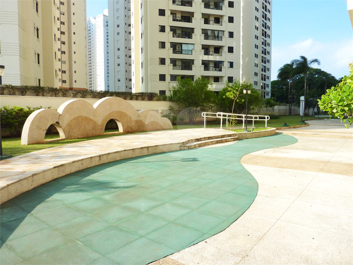 Foto REO265798