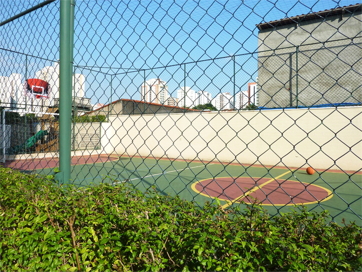 Foto REO265798