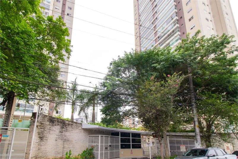 Foto REO266257