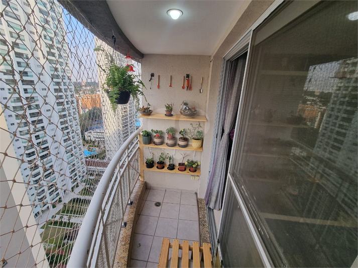 Foto REO266286
