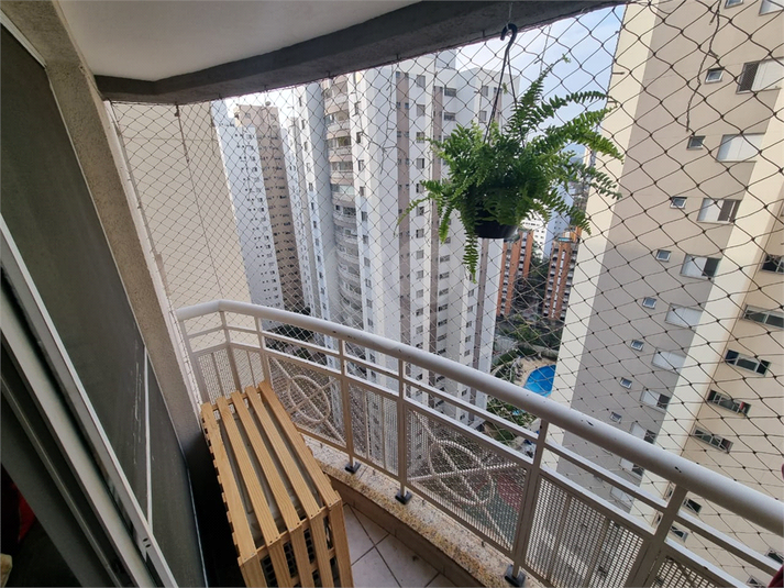 Foto REO266286