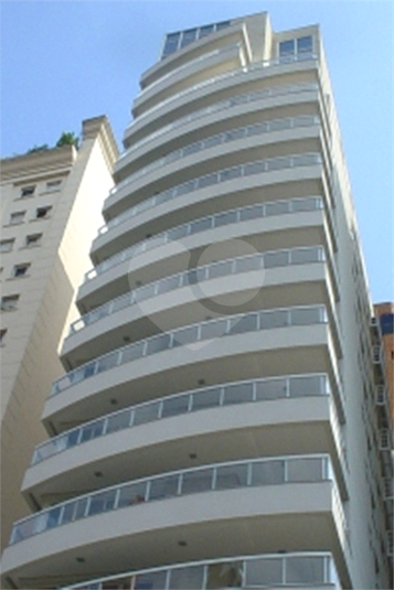 Foto REO266455