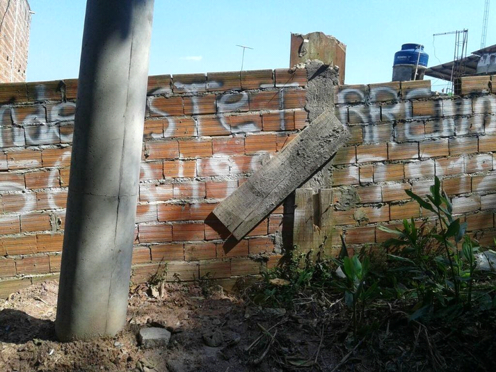 Foto REO266470