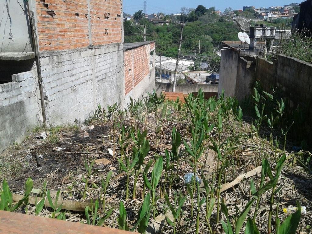 Venda Terreno São Paulo Recanto Campo Belo REO266470 1