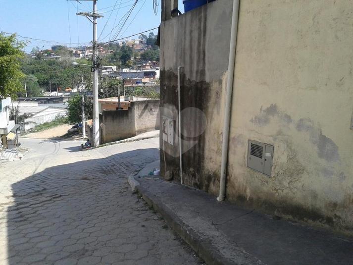 Foto REO266470