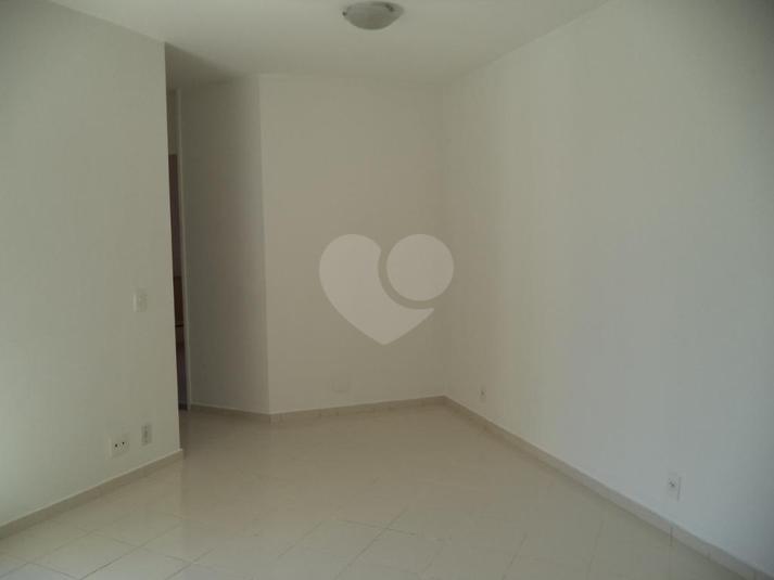 Foto REO266632