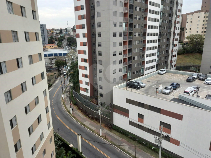 Foto REO266632