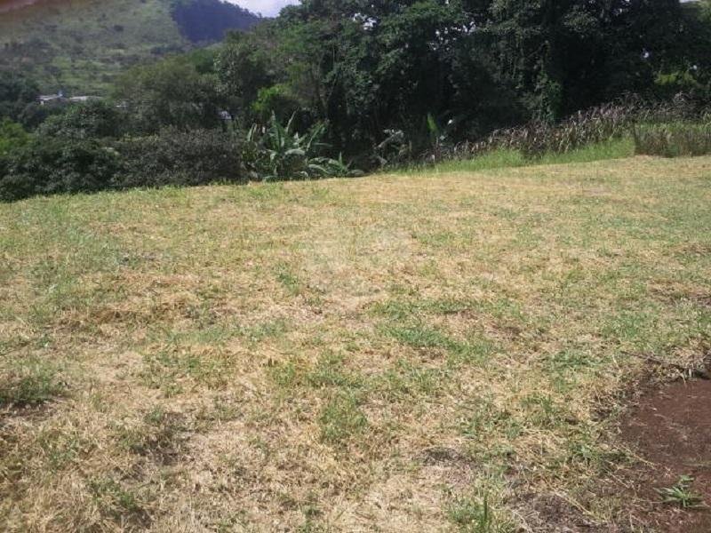 Venda Terreno São Roque Vila Nova São Roque REO266949 4