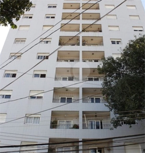 Foto REO266979