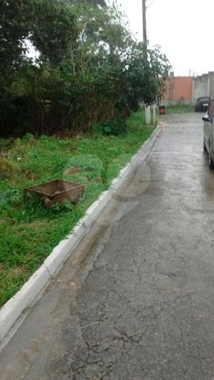 Foto REO267123