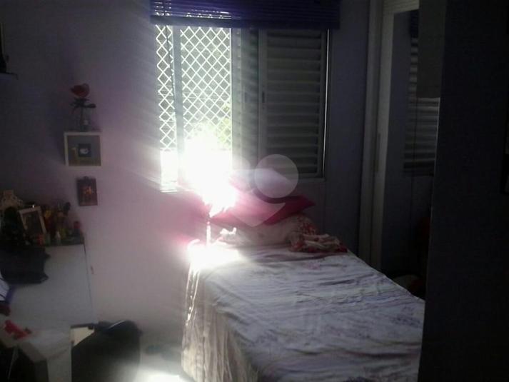 Foto REO267224