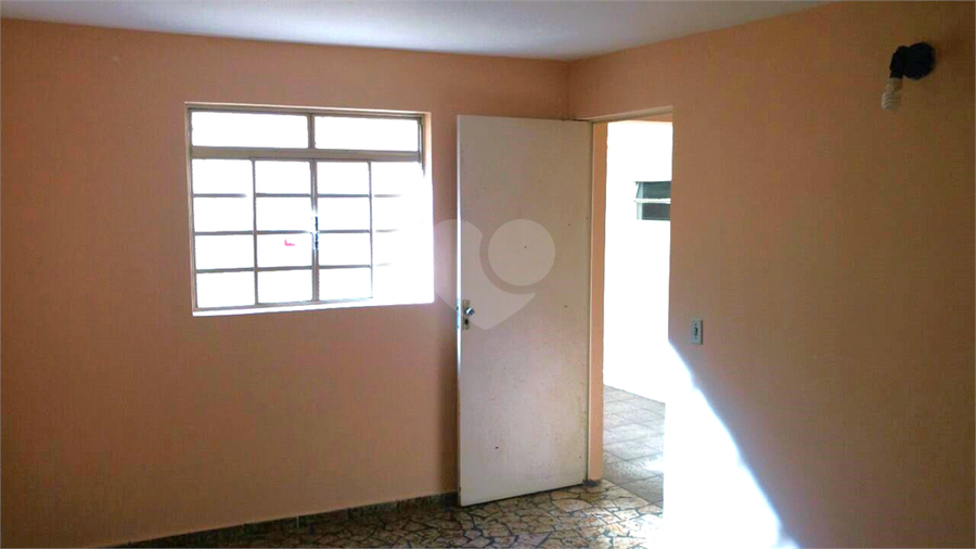 Foto REO267447