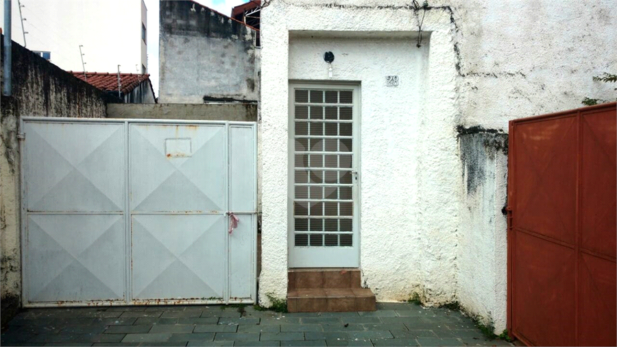 Foto REO267447
