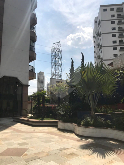 Foto REO268217