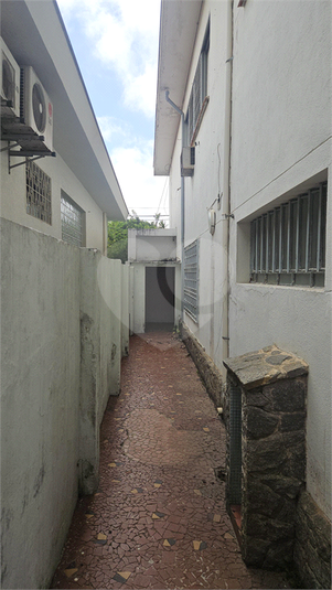 Foto REO268288