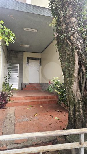 Foto REO268288