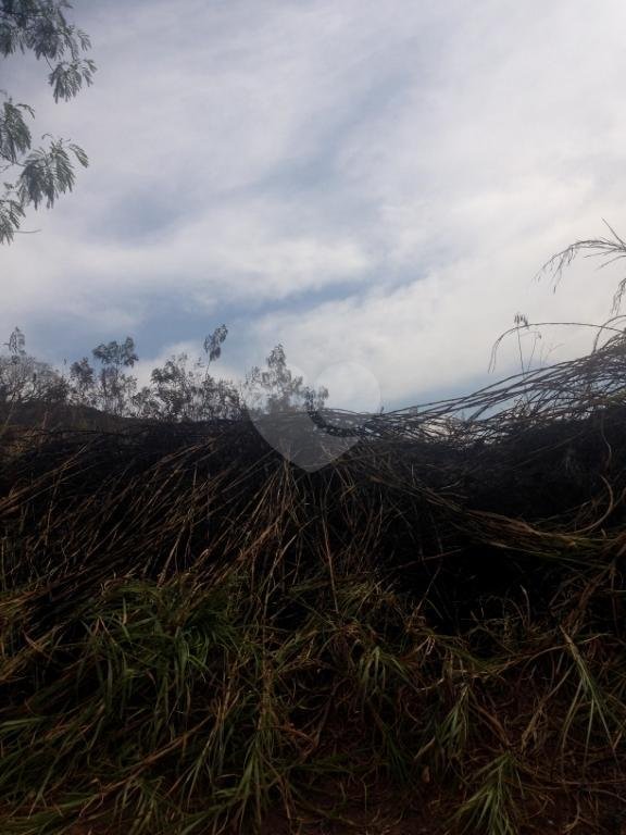 Venda Loteamento São Paulo Jardim Itatinga REO268420 22