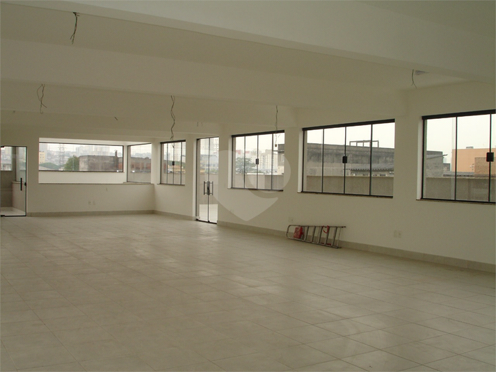 Foto REO268846
