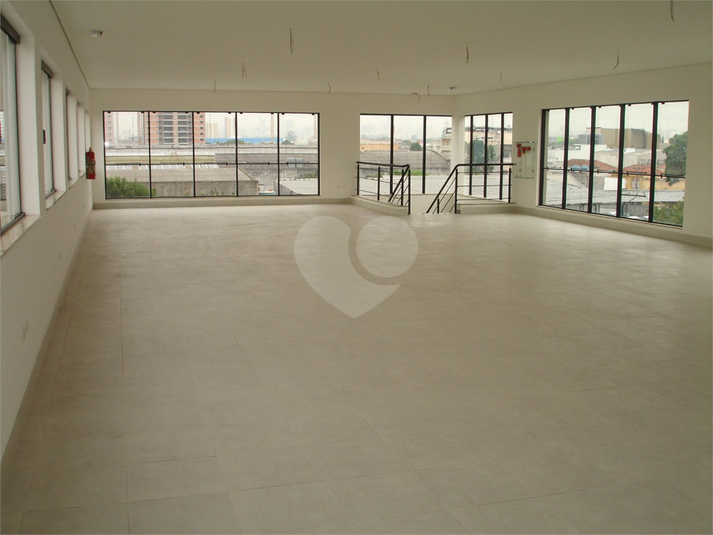 Foto REO268846