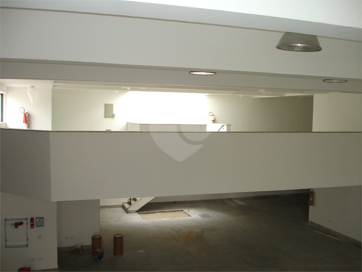 Foto REO268846