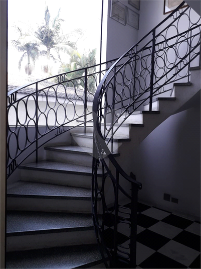 Foto REO270275