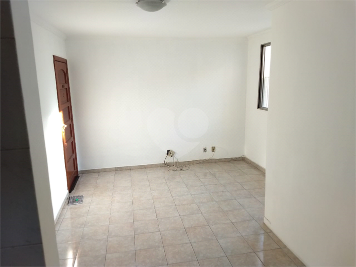 Foto REO270637