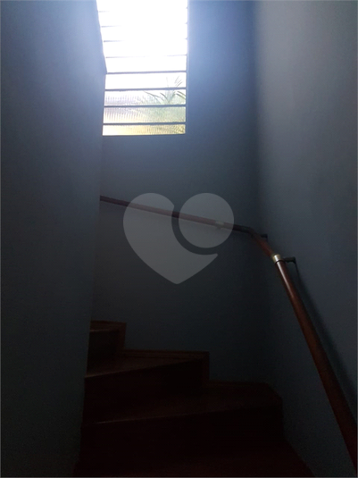 Foto REO272024