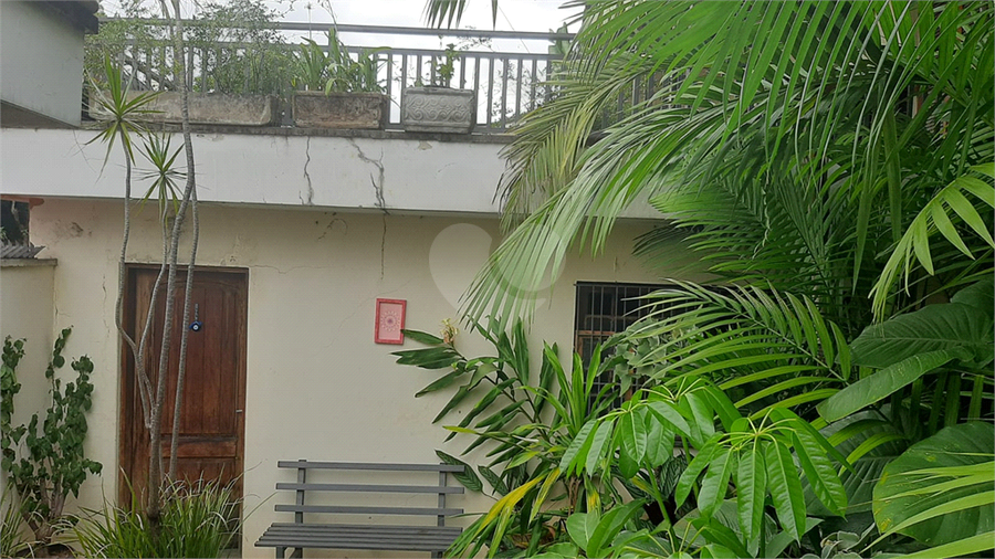Foto REO273794