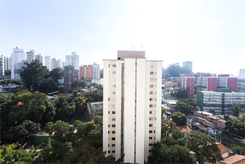 Foto REO273881