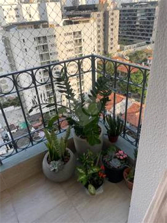 Venda Apartamento São Paulo Brooklin Paulista REO274103 7