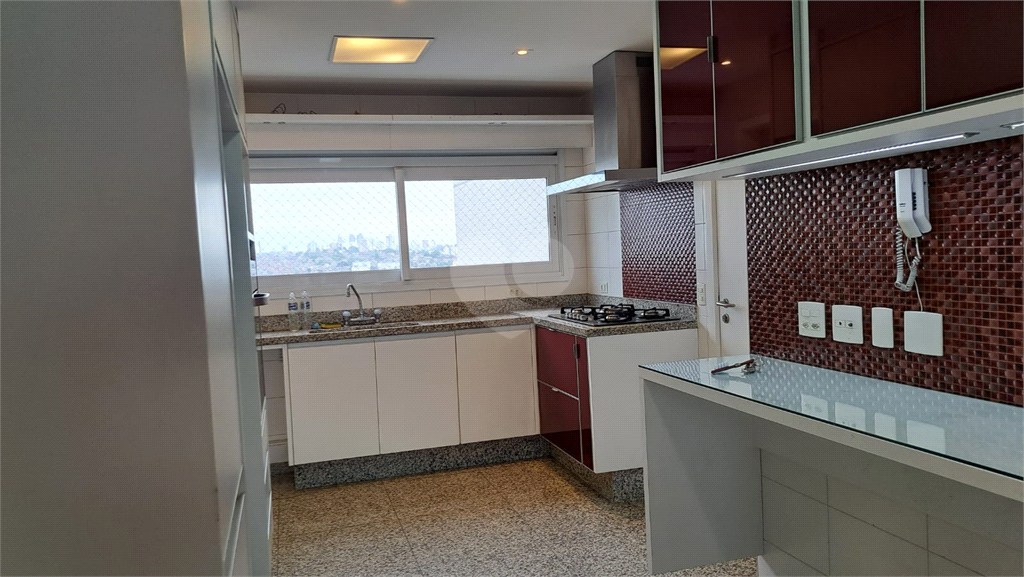 Aluguel Apartamento São Paulo Vila Hamburguesa REO274115 40