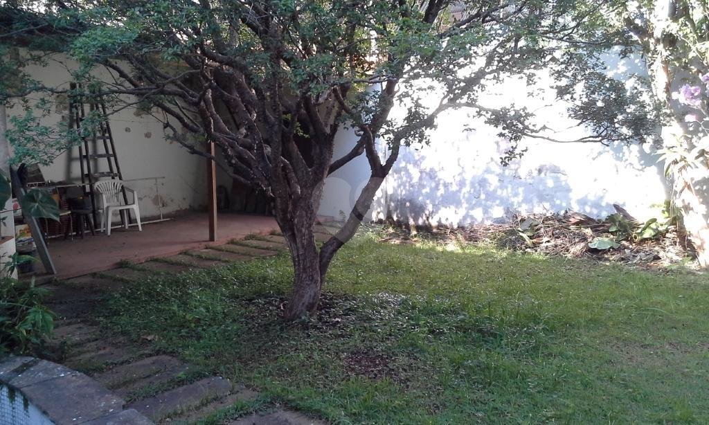 Venda Sobrado São Paulo Alto Da Lapa REO276973 14