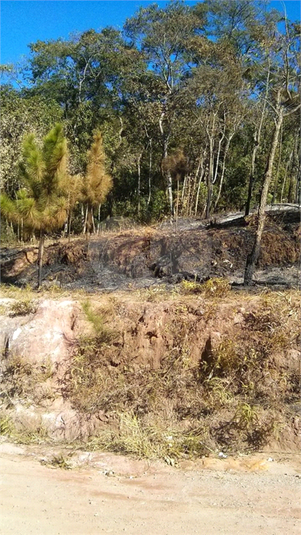 Venda Terreno Mairiporã Terra Preta (terra Preta) REO277090 14